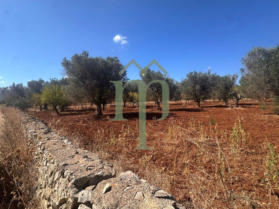 Helårsgrund i San Vito dei Normanni, Brindisi - foto 3